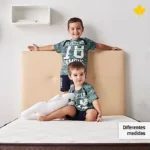 ASSET_MP_146478791 (1)