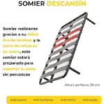 ASSET_MP_146631164 (1)