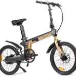 Bicicleta urbana - Youin Oslo Pro BK1950, Bicicleta eléctrica con pedaleo, 250 Watt, NegroOro