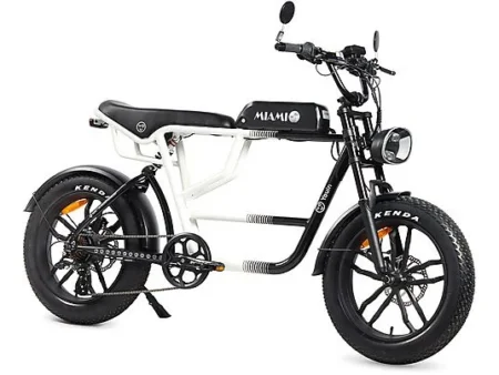 Bicicleta urbana - Youin Miami BK7000, Bicicleta eléctrica con pedaleo, 250 Watt, NegroBlanco
