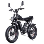 Bicicleta de Montaña - RIDSTAR Q20 PLUS, Bicicleta eléctrica, 3000W, negro